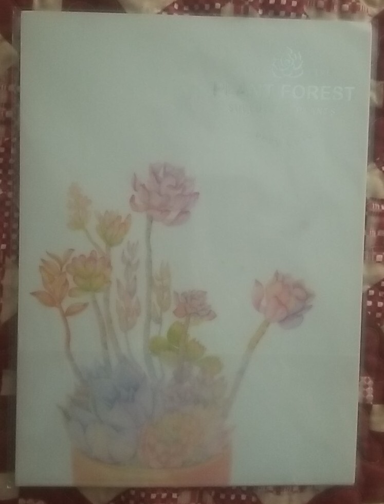 Lot Of 4 Hangzhou Miss Time Stationary Colorful World, Plant Forest Stationary