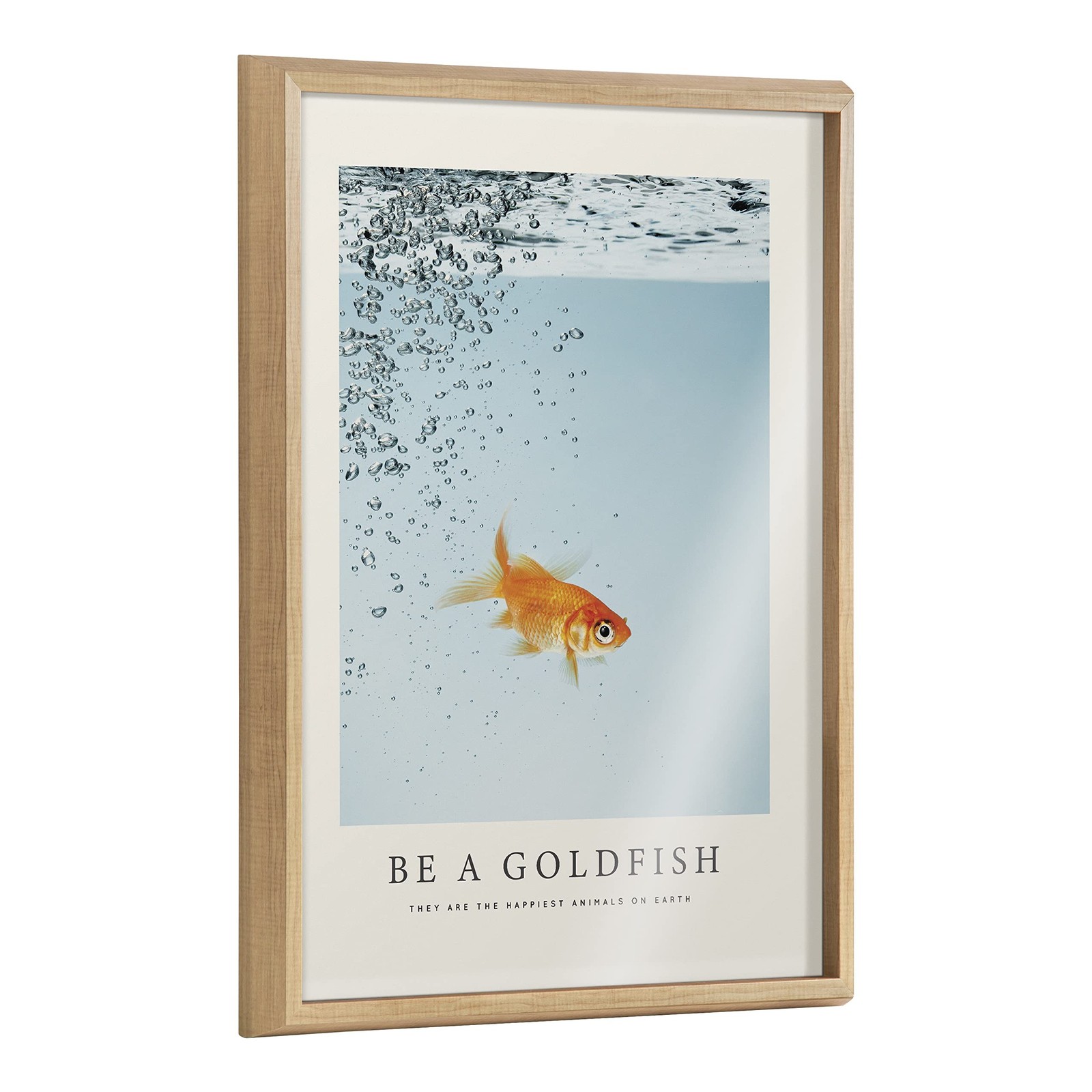 Kate and Laurel Blake Be A Goldfish Framed Printed Glass Wall Art by The Crea…