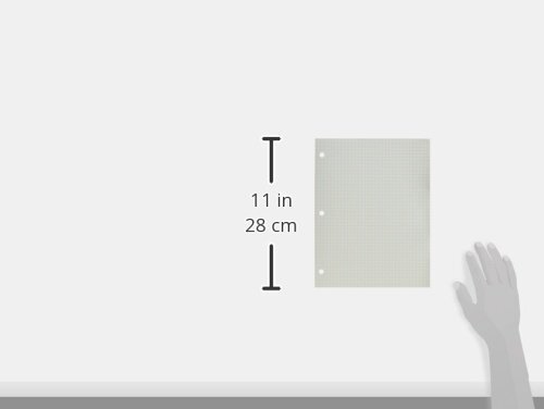 School Smart-86667 Double Sided Grid Paper 3 Hole Punched 8-1/2 x 11 Inches 1…