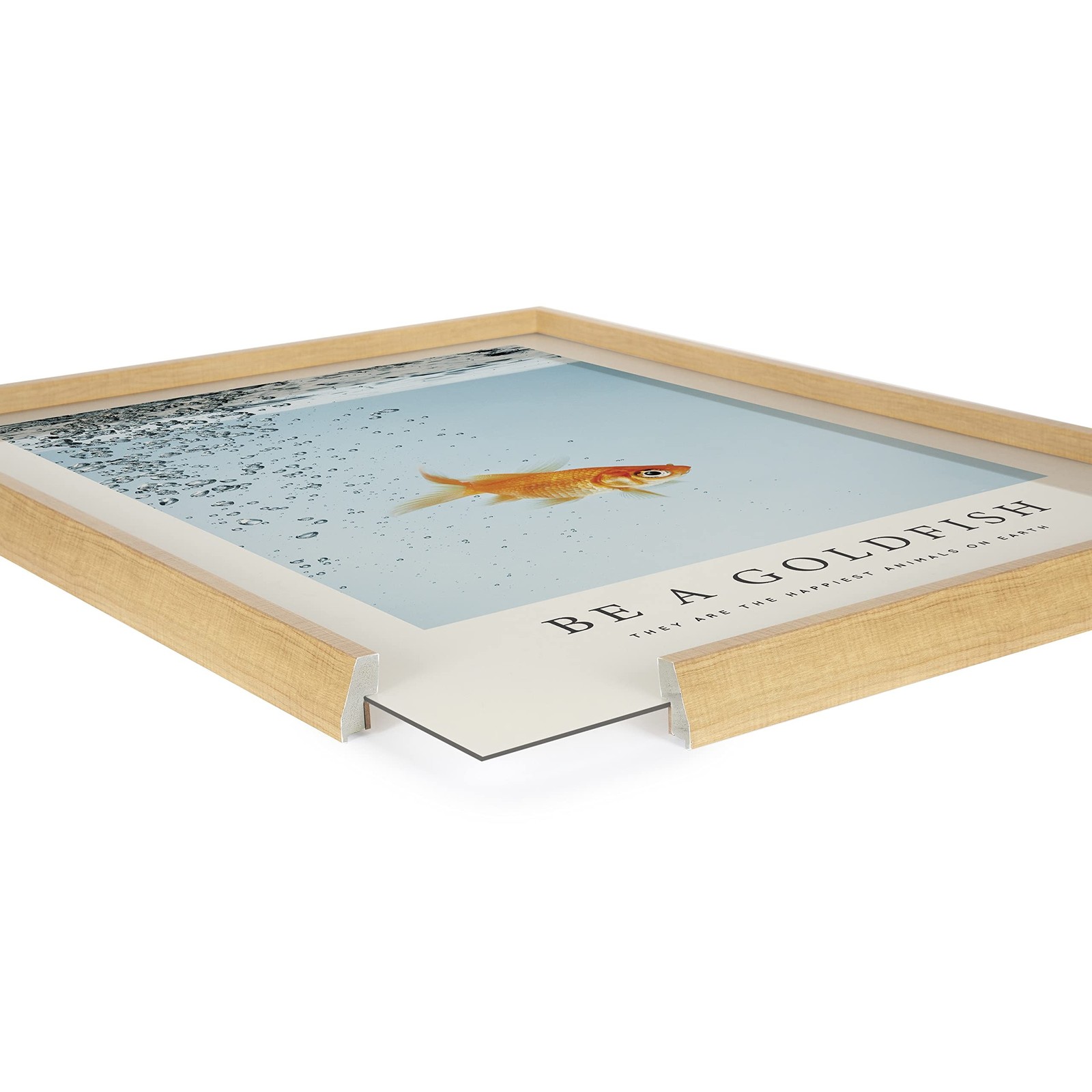Kate and Laurel Blake Be A Goldfish Framed Printed Glass Wall Art by The Crea…