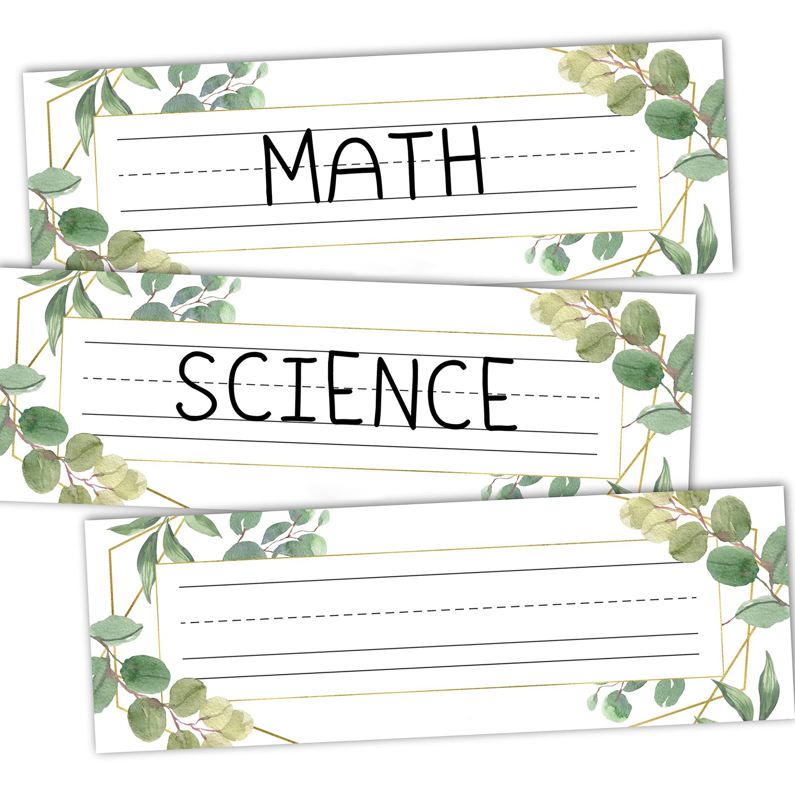 Elementary Multicolor Name Tags, 25 Desk Plates, Greenery Multicolor, Green