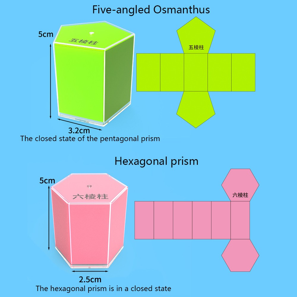 12/16/20 Piece Perspective Solid Geometry Demonstration Model