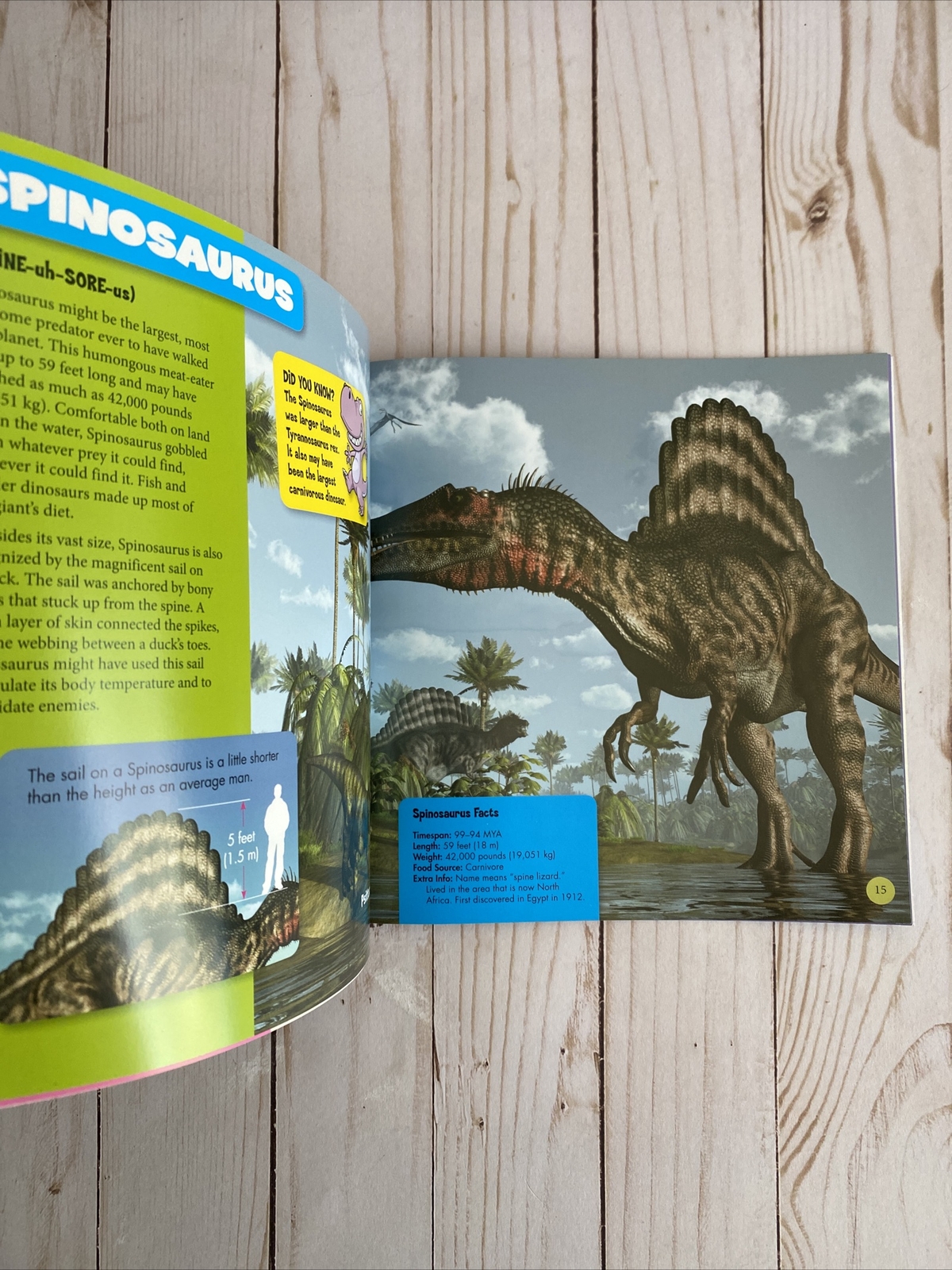 Dinosaur 3 Hole Spiral Notebook 80 Sheets Wide Ruled + Fact Paperback Book New