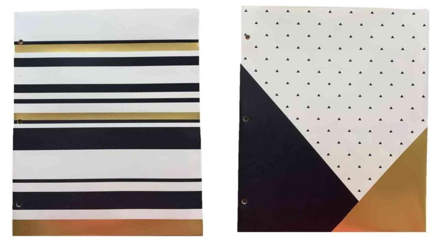 Carolina Pad 2 Deluxe Poly Folders ~ Gold Digger (Elegant Stripe, Positively Stu