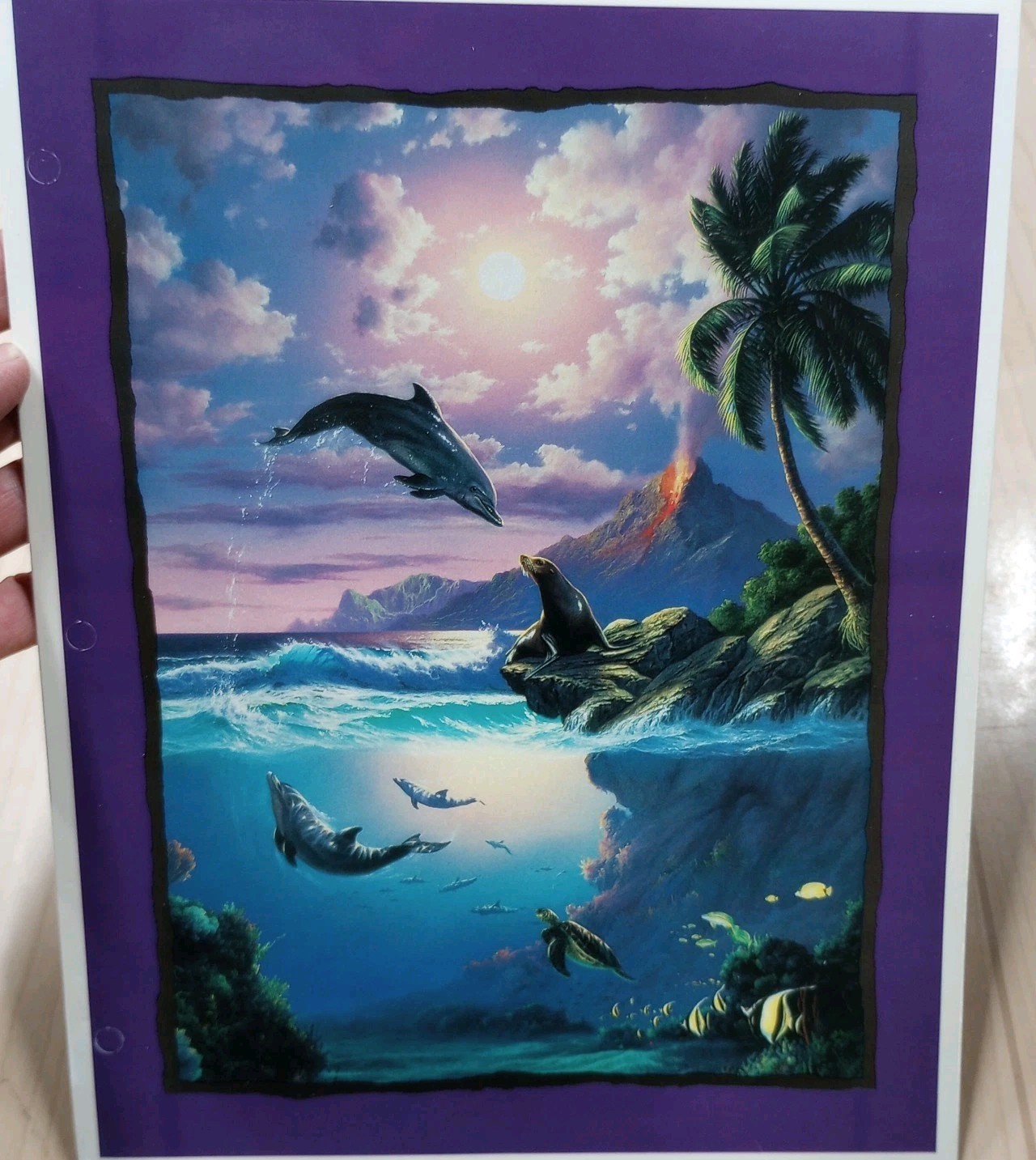 Vintage 1996 Stuart Hall Folders Anthony Casay Sea Life