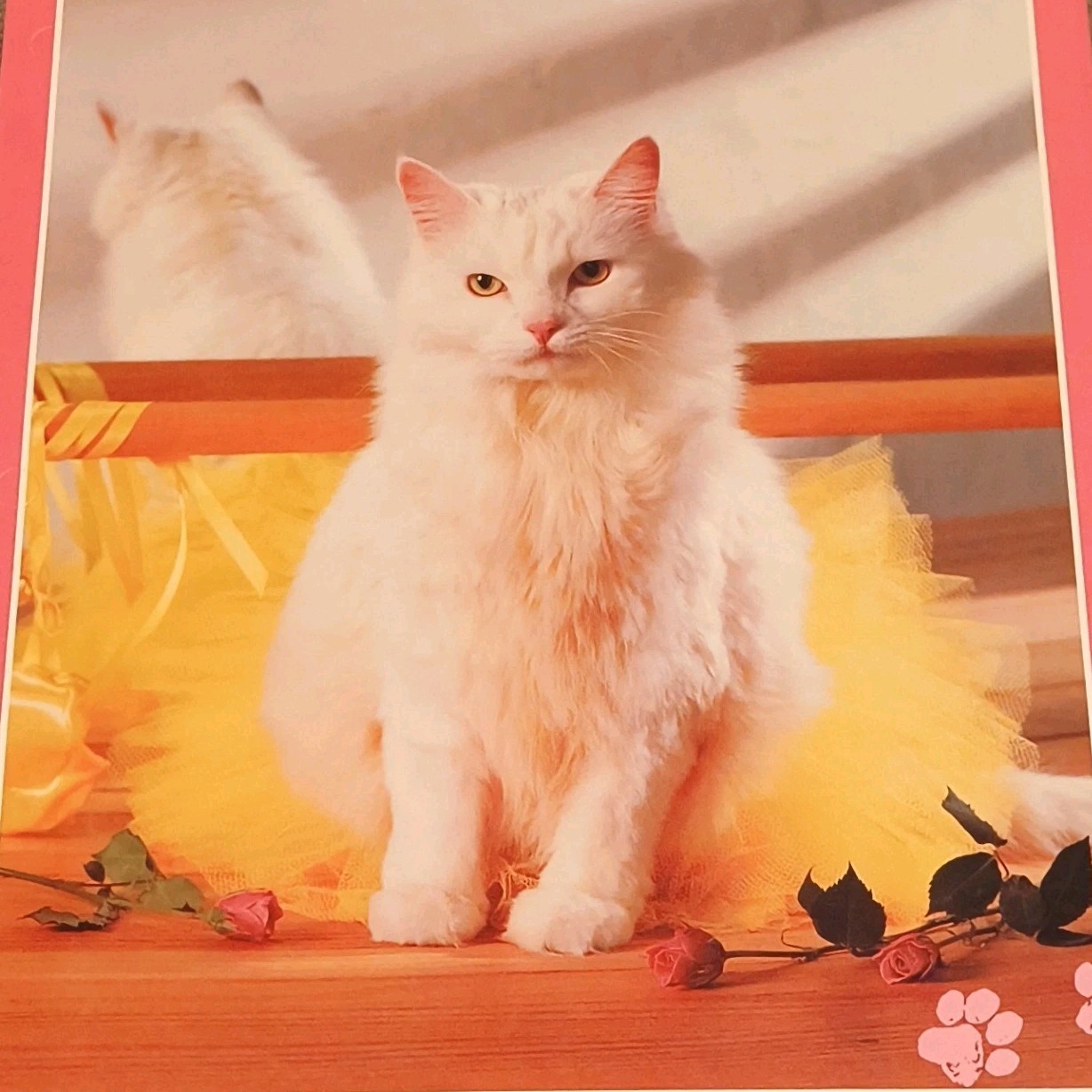 Stuart Hall Cats & Kittens Folder Pink Yellow White Pictorial Model 0461