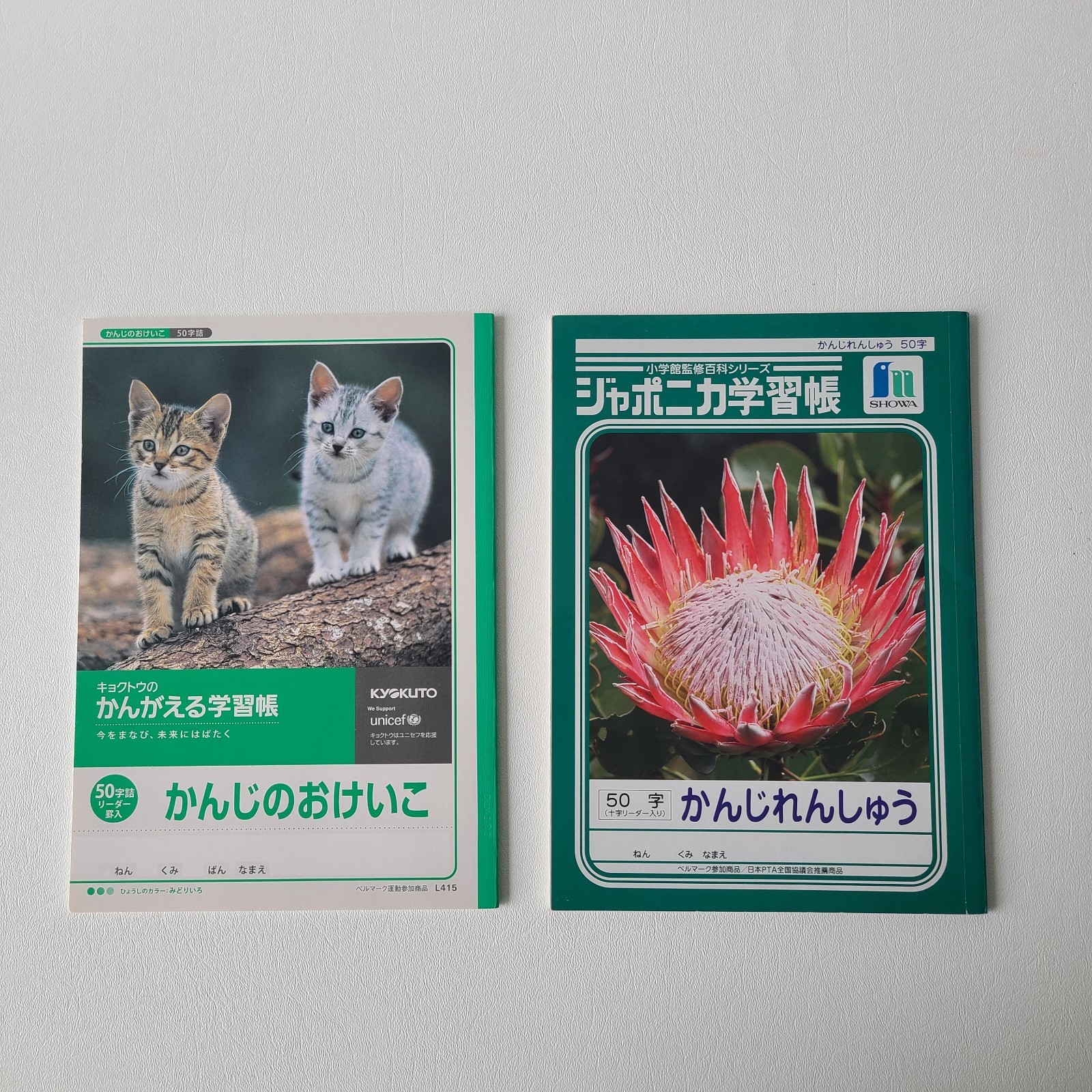 Lot of 2 Japanese Note Books for Kanji Practice Learning Great for Beginner Kids