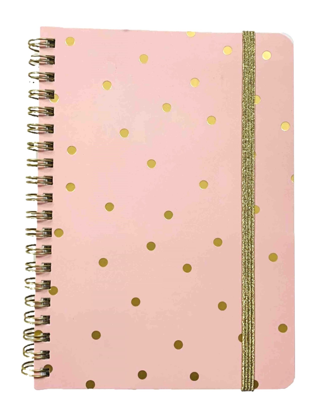 Carolina Pad Foil Cover Spiral Notebook, Keep It in Line (Festive Polka Dots)