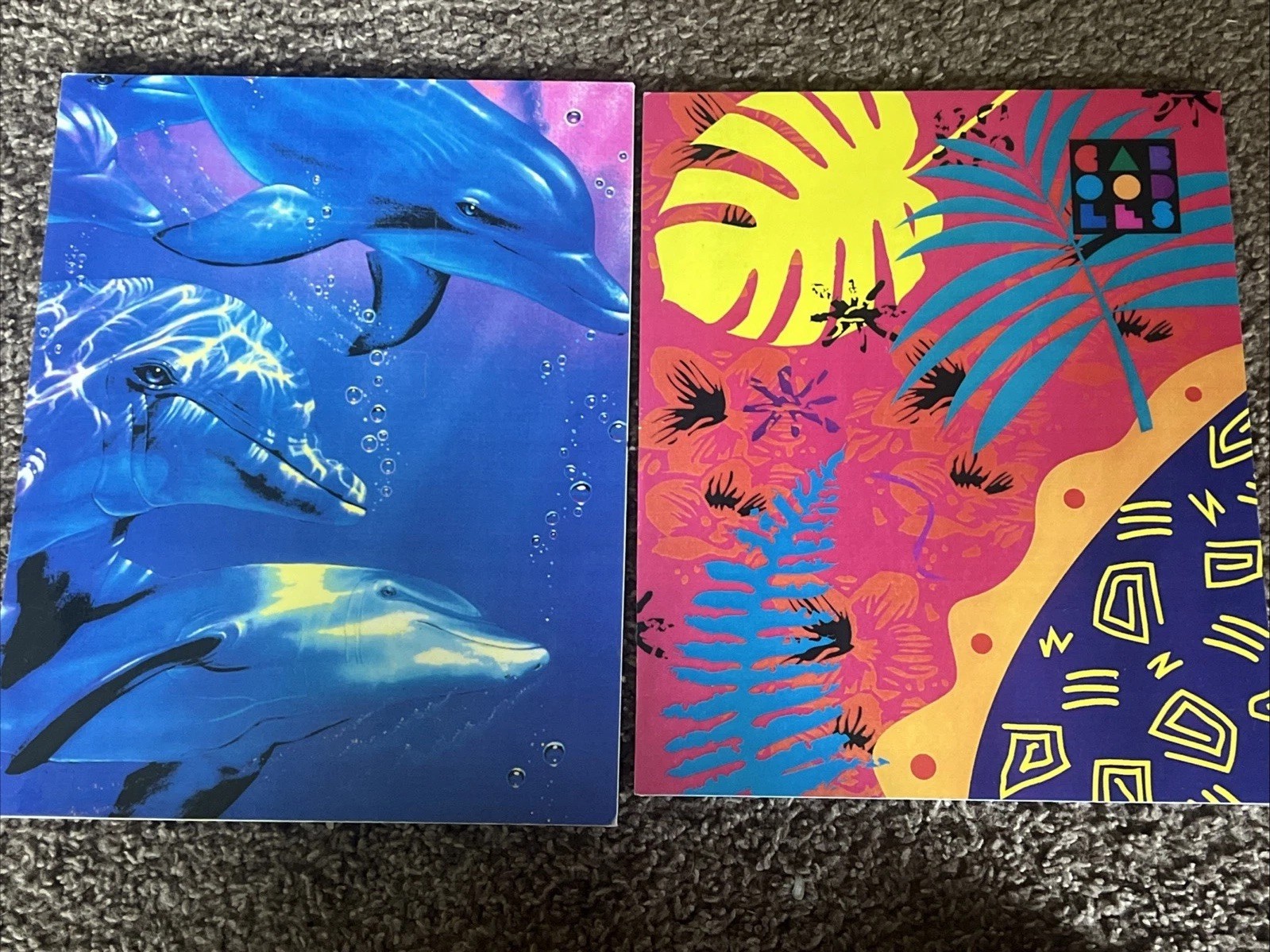 Vtg. Plymouth, Inc. Pocket School Folders- PROTOTYPES- Caboodles Lassen Dolphins