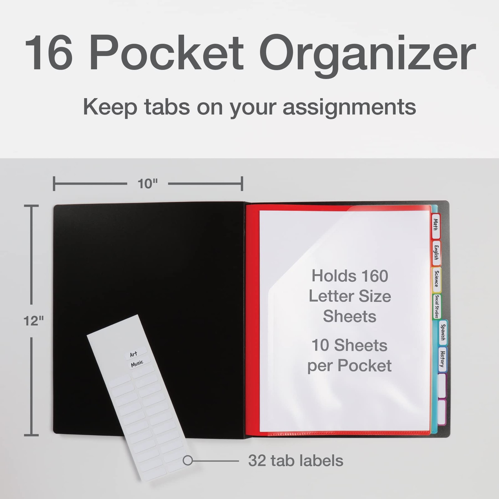 Pendaflex Project Organizer, File Organizer for School, Home Letter, Black
