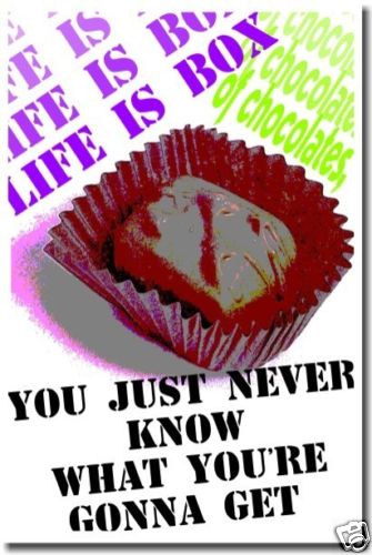 Life is Like a Box of Chocolates – Classroom Motivational POSTER