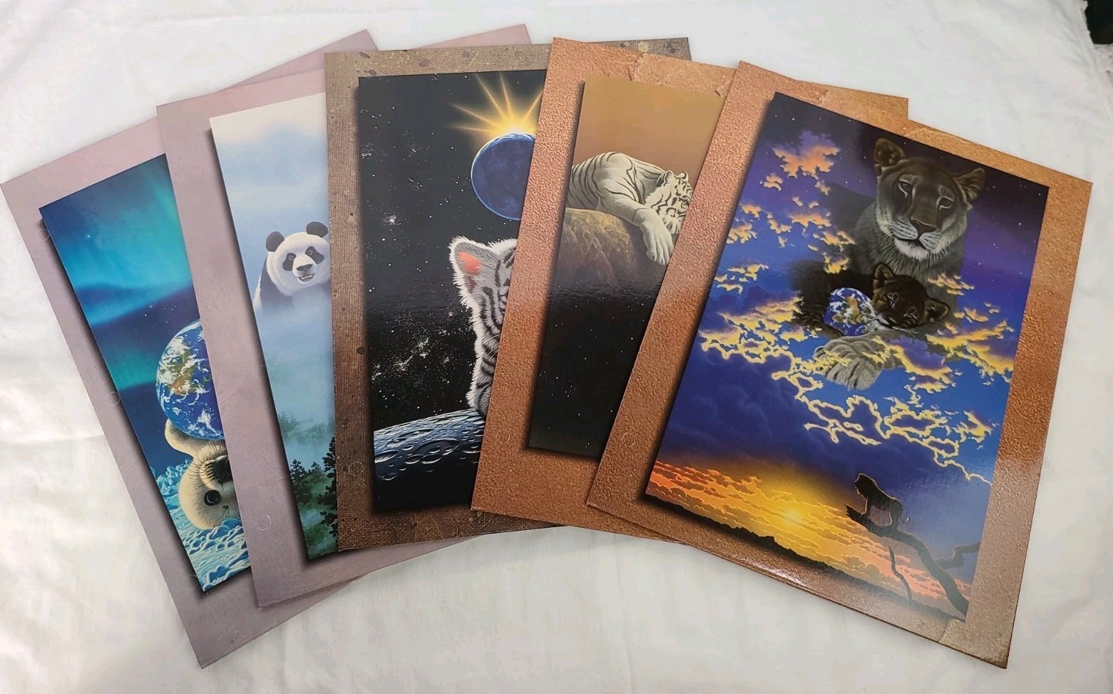 Vtg Lot 5 Schimmel Stuart Hall 2 Pocket Folder SEAL PANDA TIGERS Space Planet