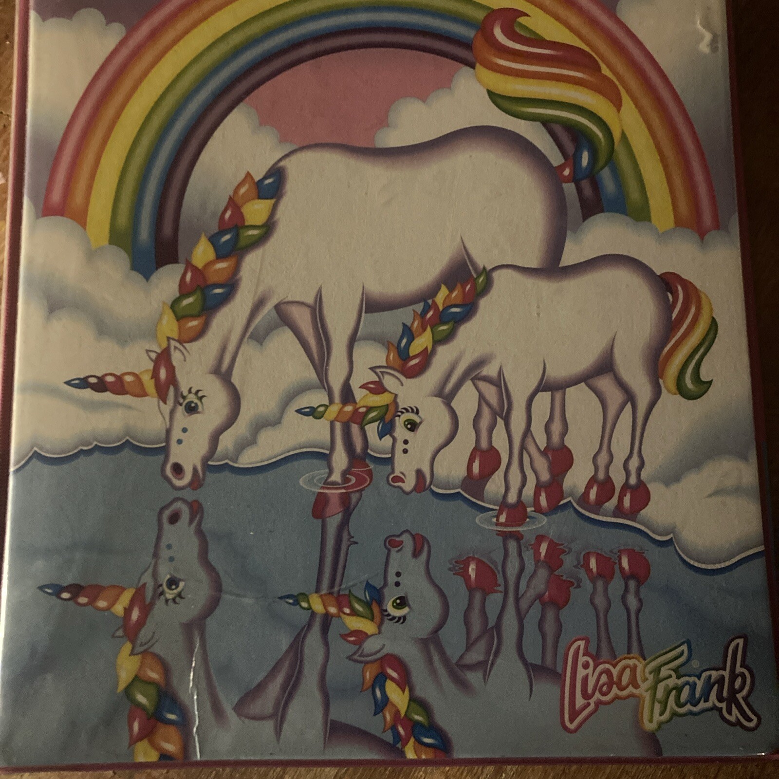 Lisa Frank 709467LF Happy 30th Birthday Binder Folder Notebook
