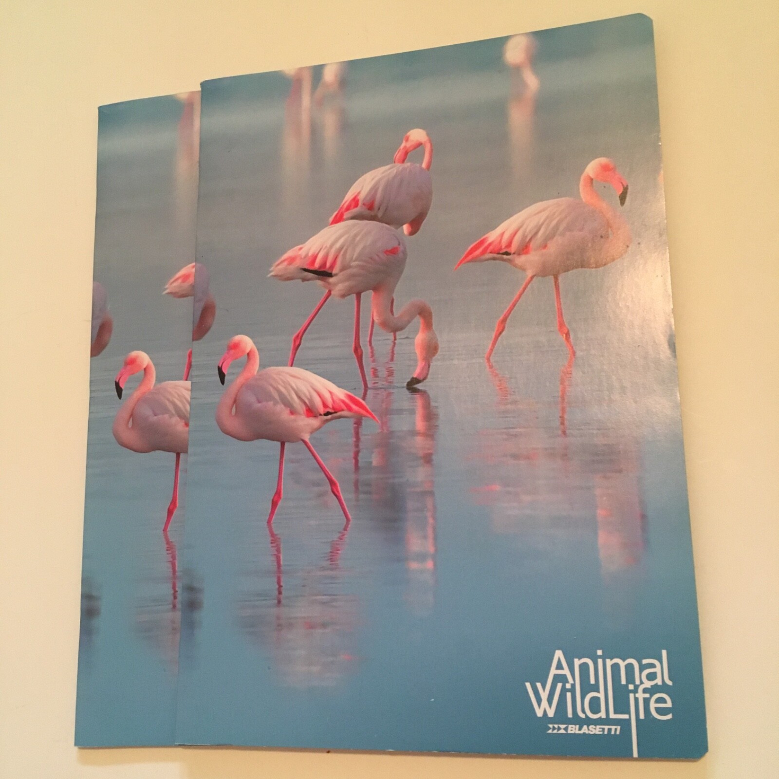 Lot of 2 Blasetti notebooks 8×11.5″ squared Pink flamingos blue cover Italy