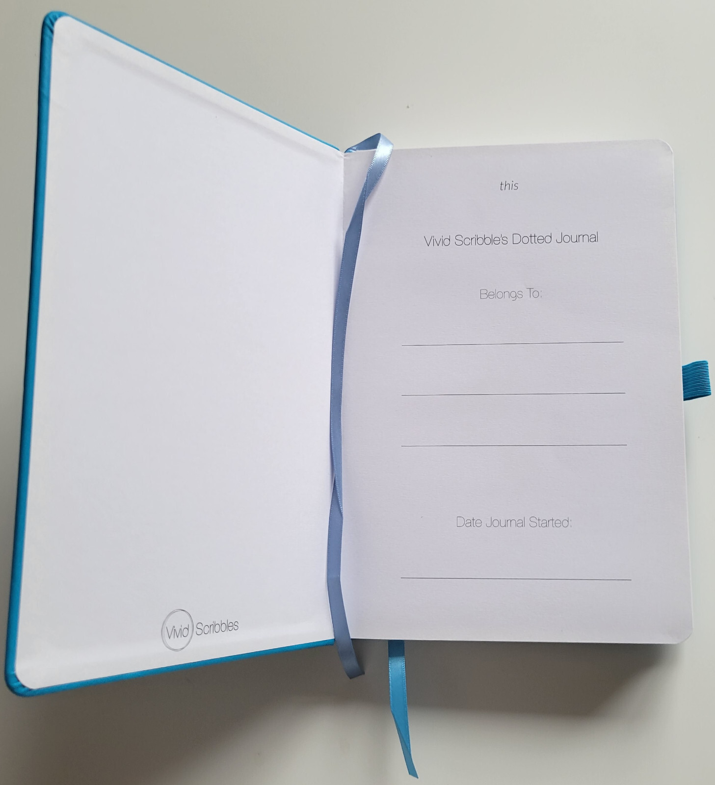 Vivid Scribbles Hardcover Dotted Journal Notebook