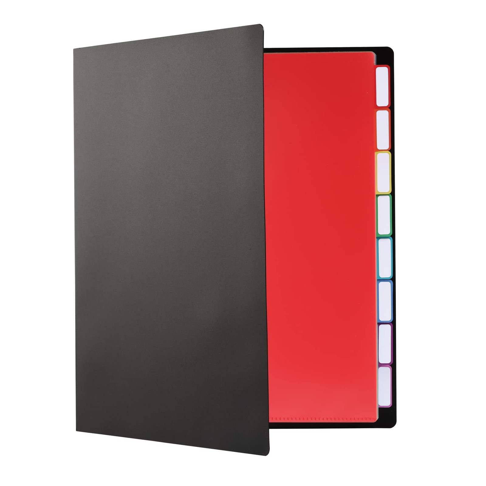 Pendaflex Project Organizer, File Organizer for School, Home Letter, Black