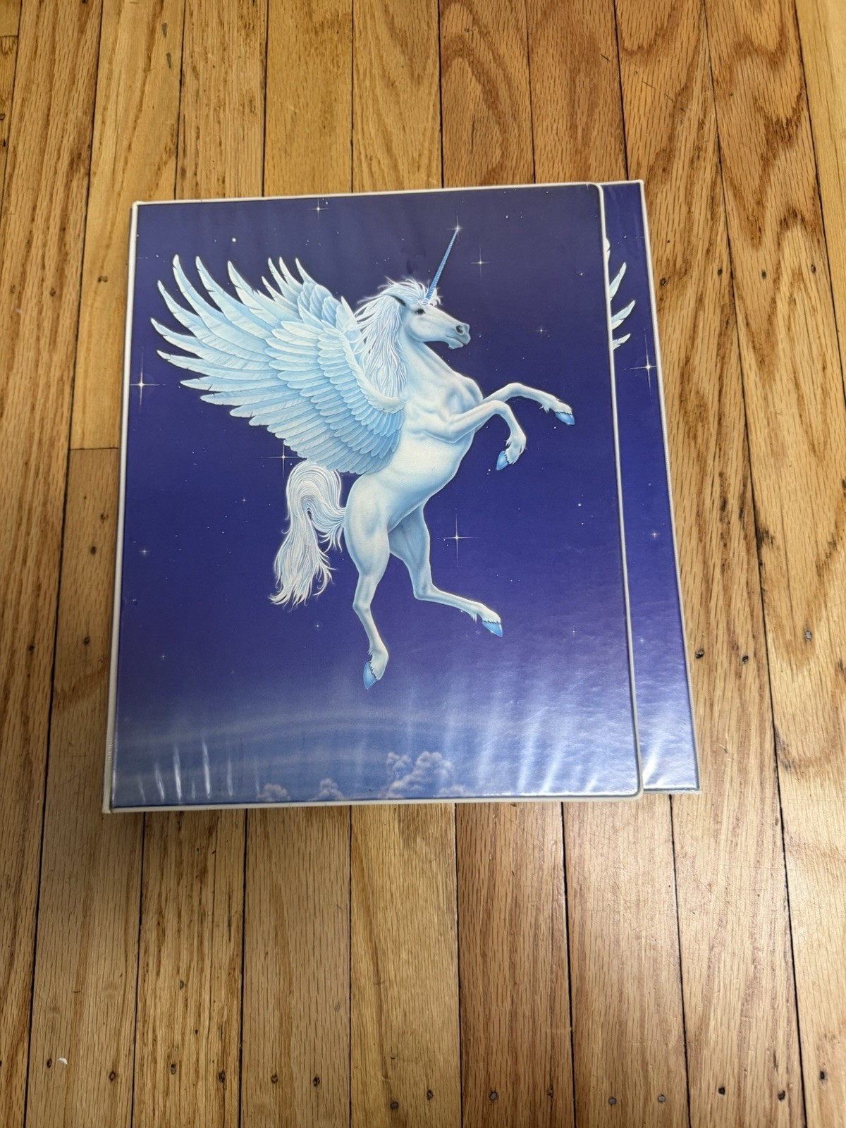 Vtg Mead 1986 Magic Clouds Pegasus Unicorn Trapper Keeper 3 Ring Binder Notebook