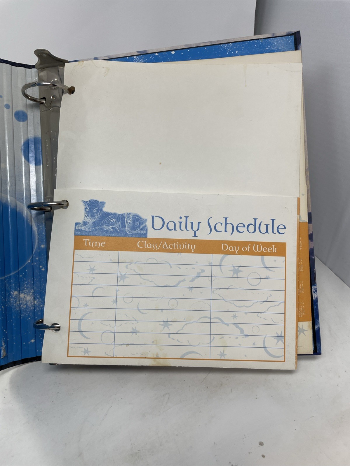 Vintage Mead Schimmel 3 Ring Binder Black Panther With Folders