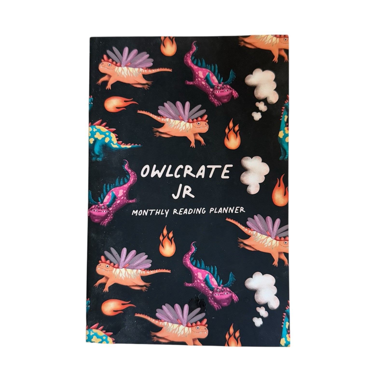 Owlcrate Jr Undated Monthly Reading Planner Notebook *See Description*
