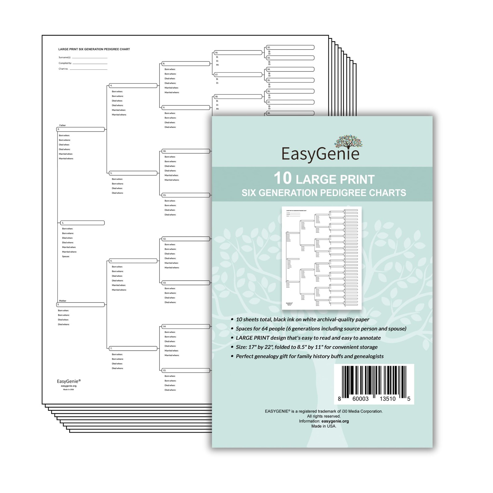 10 Large Print Six Generation Pedigree Charts Family History Forms